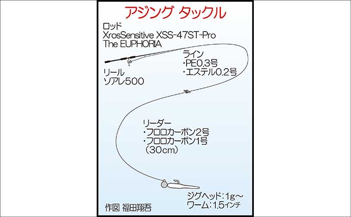 夕マヅメのアジングで27cmマアジ手中！【福岡・新宮町】後半はメバル狙いでアコウがヒット