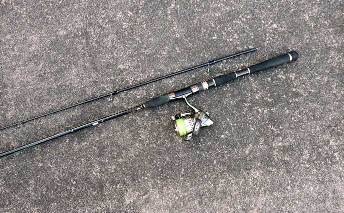 干潟エリアのバチ抜けシーバス徹底解説 【狙うポイント・使うルアー・釣り方】