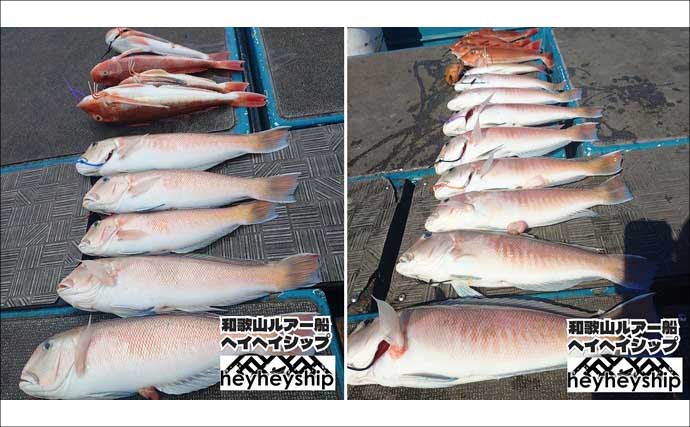 関西エリアの【船釣り特選釣果】ディープタイラバで70cm級大ダイを好捕！深場攻略が的中