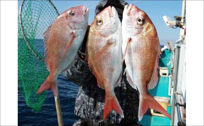 関西エリアの【船釣り特選釣果】ディープタイラバで70cm級大ダイを好捕！深場攻略が的中