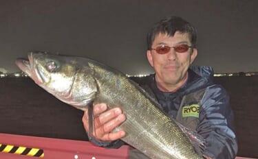 衣浦海底トンネルのエビまき釣りでスズキ70cm＆マダカ65cm浮上【愛…