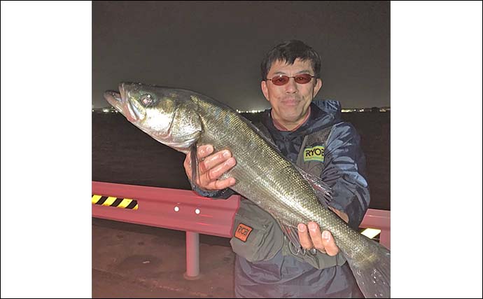 衣浦海底トンネルのエビまき釣りでスズキ70cm＆マダカ65cm浮上【愛知】クロダイ44cmも登場