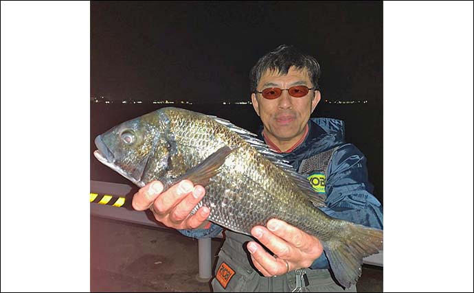 衣浦海底トンネルのエビまき釣りでスズキ70cm＆マダカ65cm浮上【愛知】クロダイ44cmも登場