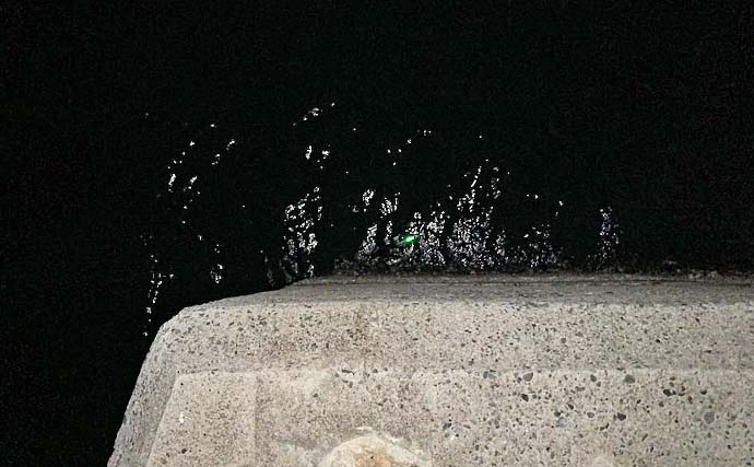 衣浦海底トンネルのエビまき釣りでスズキ70cm＆マダカ65cm浮上【愛知】クロダイ44cmも登場