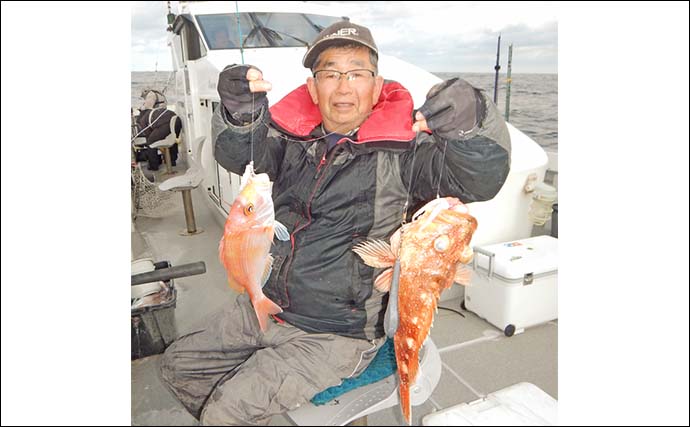 玄界灘の沖五目釣りでアオナ2.5kg筆頭にレンコダイ・ボッコ続々【福岡】多魚種そろい踏みで盛況
