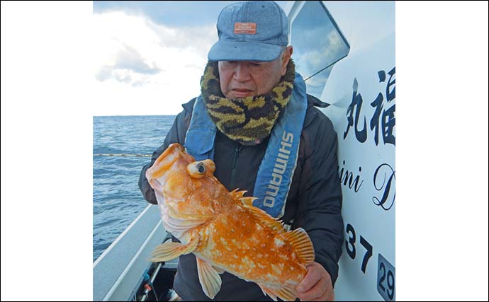 玄界灘の沖五目釣りでアオナ2.5kg筆頭にレンコダイ・ボッコ続々【福岡】多魚種そろい踏みで盛況