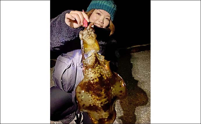 牛深の地磯エギングで良型アオリイカ3尾キャッチ【熊本・天草】880gで自己記録更新