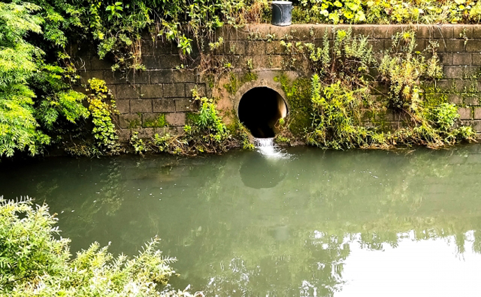 「赤潮」を解消する生物農薬の研究に期待　原因プランクトンに寄生する微生物を利用