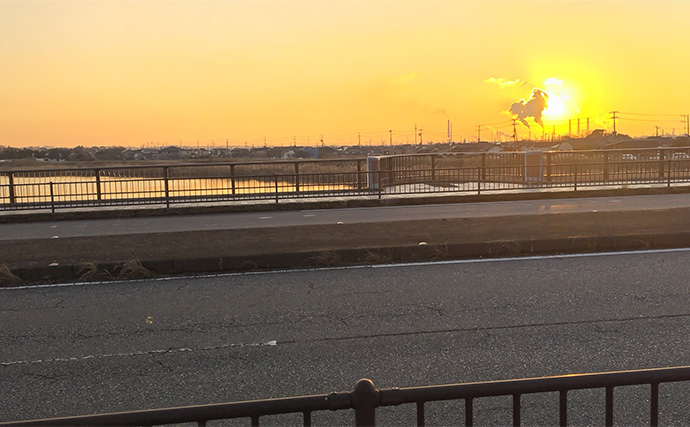 待望のバチ抜けがスタートも釣れない謎【千葉・養老川】時合いも短時間で終了