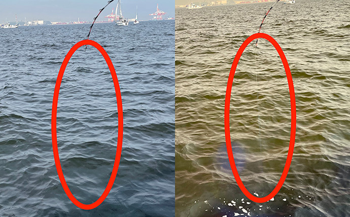 『Gillsee』の口コミは本当？ TALEXと比較して24時間着用検証した結果が想像以上だった