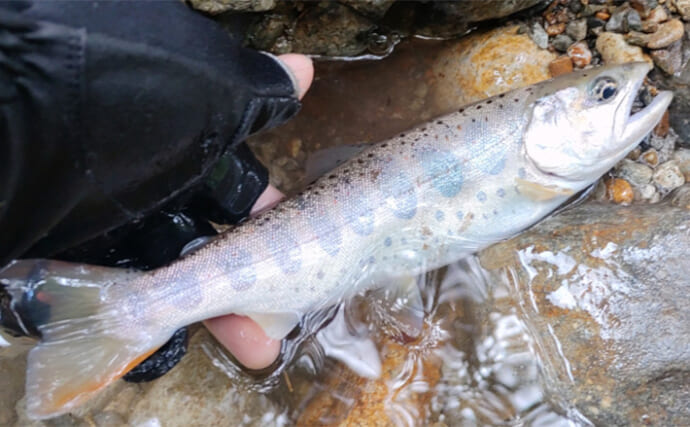 渓流エサ釣りの【年間釣行計画】のススメ　解禁期間を最大限楽しむために！
