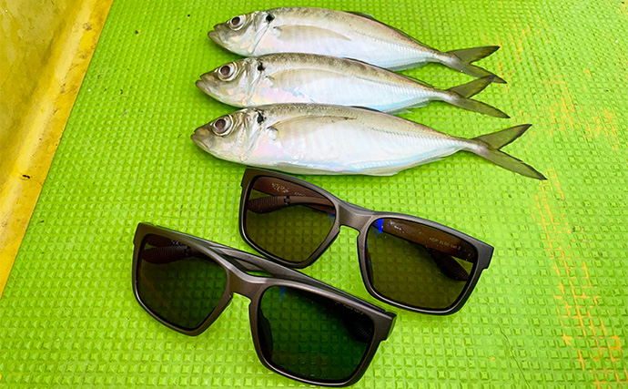 『Gillsee』の口コミは本当？ TALEXと比較して24時間着用検証した結果が想像以上だった