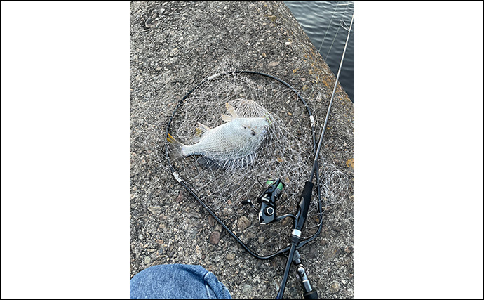 ランディングネットとシャフトの選び方　ネットの材質と足場の高さから考えよう