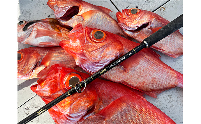 「キンメダイがズラッと提灯行列！」フラッシャーサビキ仕掛けでキンメ多点掛けを達成【千葉・片貝】