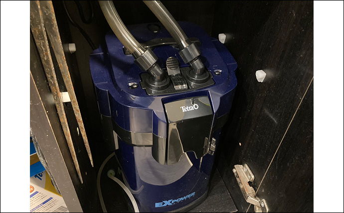 「最初はこれだけあればOK！」　魚の飼育に最低限必要なアイテム7選