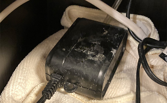 「最初はこれだけあればOK！」　魚の飼育に最低限必要なアイテム7選