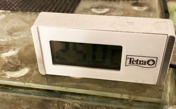 「最初はこれだけあればOK！」　魚の飼育に最低限必要なアイテム7選