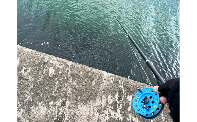 ヘチ釣りで想定外のカレイをキャッチ！【三重】夕マヅメにヒット