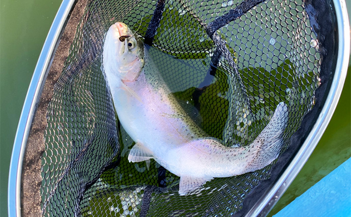 プールフィッシングで良型ニジマスを連打【しらこばと水上公園】フライで挑戦