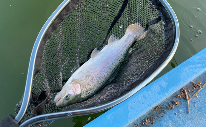 プールフィッシングで良型ニジマスを連打【しらこばと水上公園】フライで挑戦