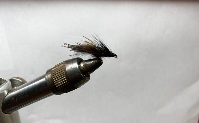 プールフィッシングで良型ニジマスを連打【しらこばと水上公園】フライで挑戦