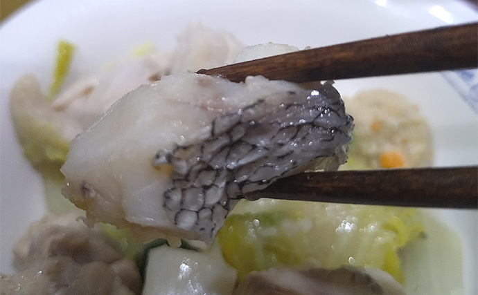 漁師さんからもらった深海魚「トウジン」を鍋にして食べてみた　見た目は微妙も味は美味