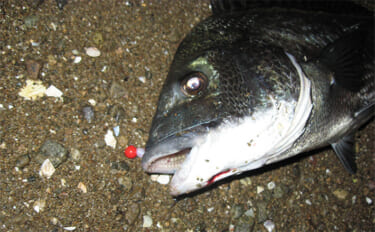 ジグヘッドの根掛かりを減らす方法　【ワームの刺し方・リグの動かし方を解…