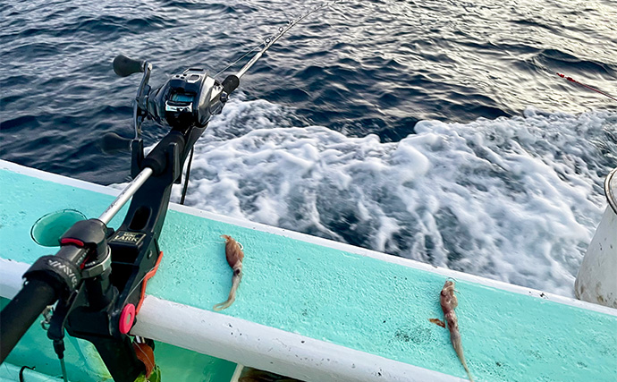 『Gillsee』の口コミは本当？ TALEXと比較して24時間着用検証した結果が想像以上だった