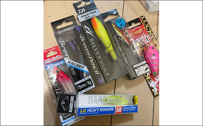 チニングにおけるルアー選択の基本 【季節・食性・活性ごとに考えよう】