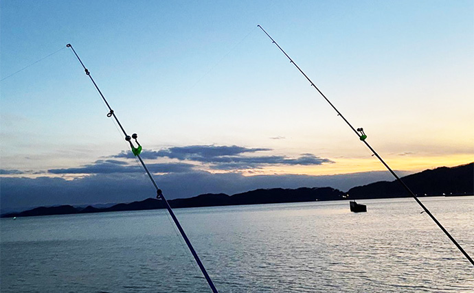 「タックルより仕掛けが重要？」 堤防ぶっこみアナゴ釣りの仕掛けを徹底解説