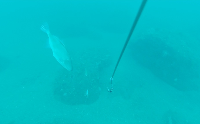 「海底の起伏を狙うと魚が釣れる！」 ボートアマダイ釣りで地形釣りが的中