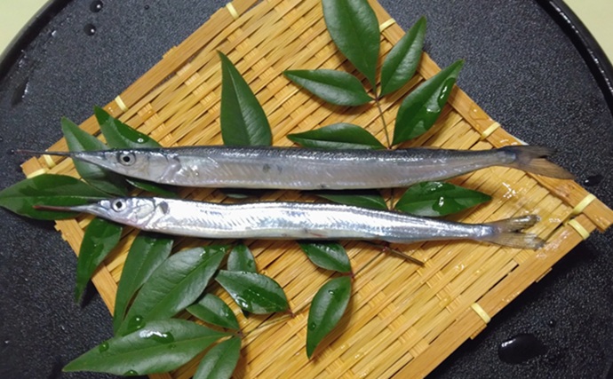 『鹿島港海釣園』でのサヨリ釣りで大苦戦　仕掛けのセレクトが運命を分ける？