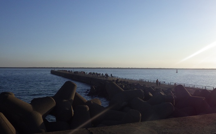 『鹿島港海釣園』でのサヨリ釣りで大苦戦　仕掛けのセレクトが運命を分ける？