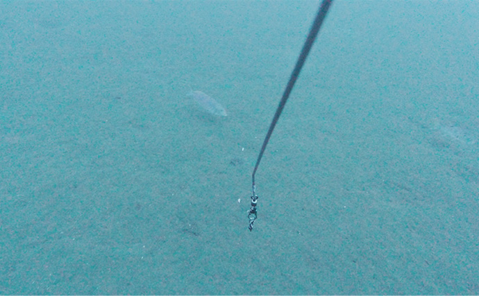 「海底の起伏を狙うと魚が釣れる！」 ボートアマダイ釣りで地形釣りが的中