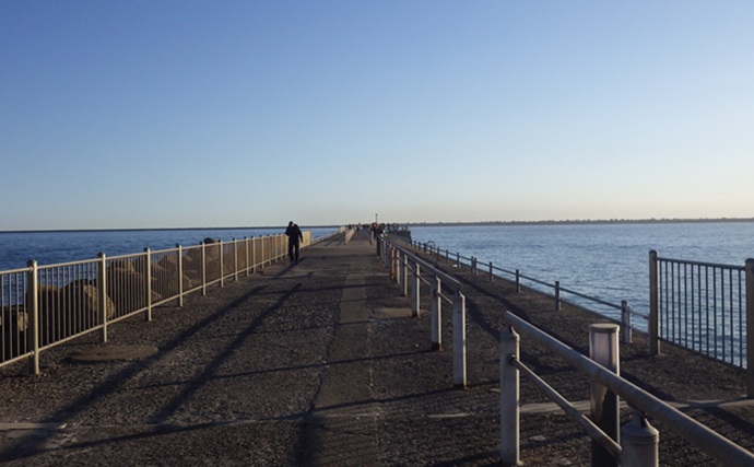 『鹿島港海釣園』でのサヨリ釣りで大苦戦　仕掛けのセレクトが運命を分ける？