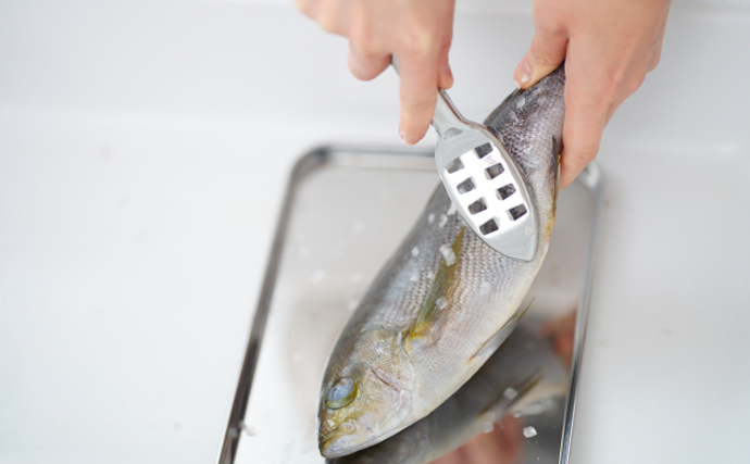 サカナの「鱗（ウロコ）」は調理の邪魔者？それとも美味しい食材？