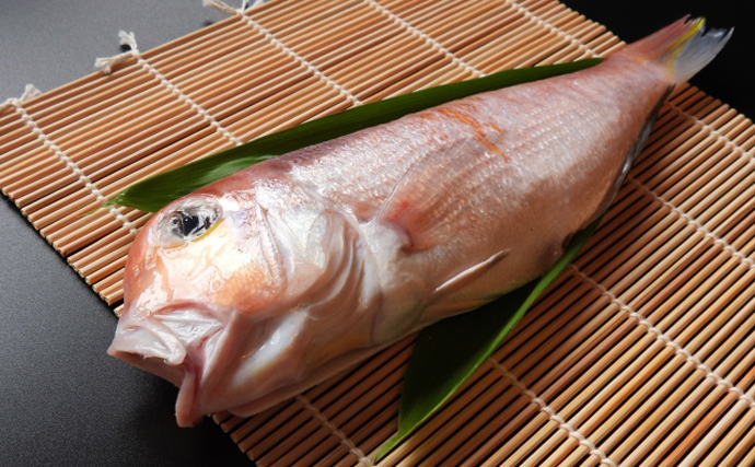 サカナの「鱗（ウロコ）」は調理の邪魔者？それとも美味しい食材？