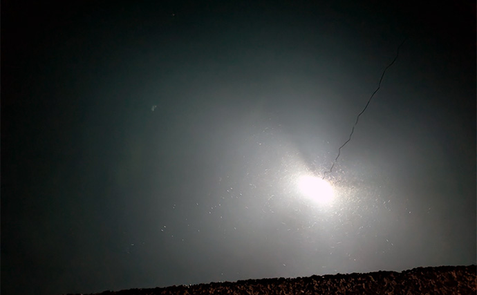 「集魚灯って効果あるの？」 堤防ヤリイカエギングで本命＆コウイカ手中【京都】