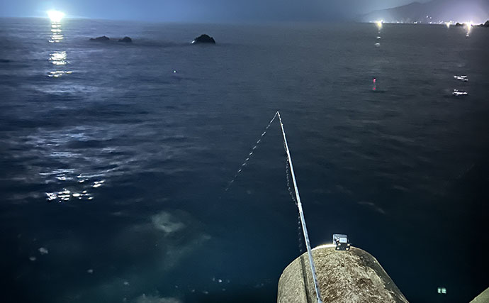 「堤防ヤリイカ釣りシーズン到来！」回遊の時合い逃さず1時間で5杯手中【福井】