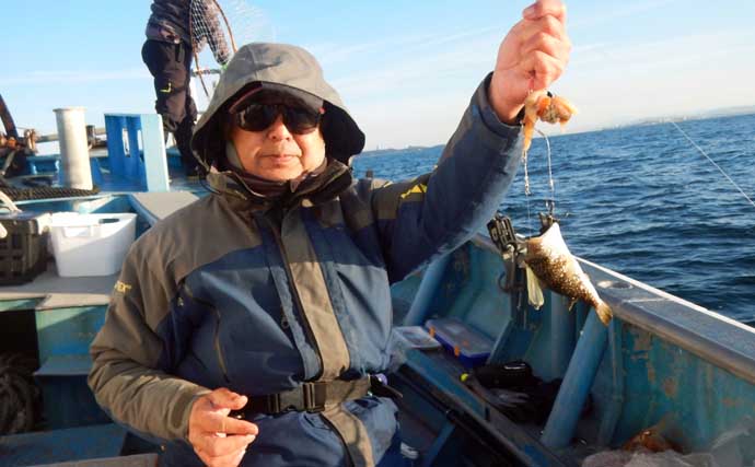 カットウ釣りで良型ヒガンフグとコモンフグ合計7匹手中！【愛知・師崎沖】トルクある引きを堪能