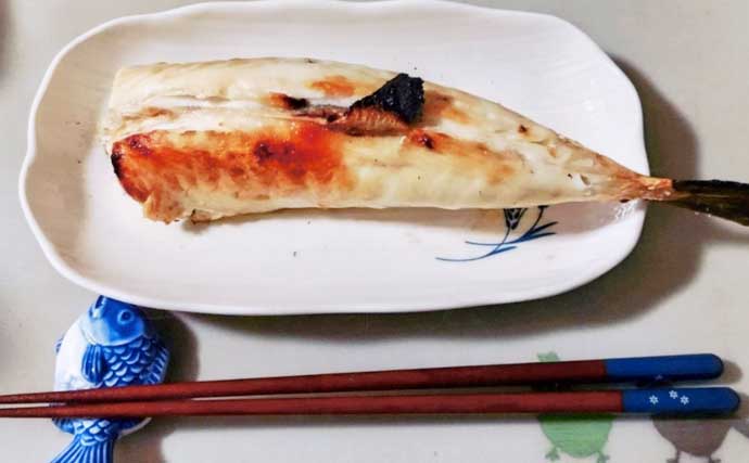 カットウ釣りで1.3kgヒガンフグをキャッチ【愛知】アタリを拾うソフトな聞きアワセが鍵