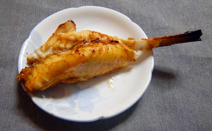 カットウ釣りで良型ヒガンフグとコモンフグ合計7匹手中！【愛知・師崎沖】トルクある引きを堪能