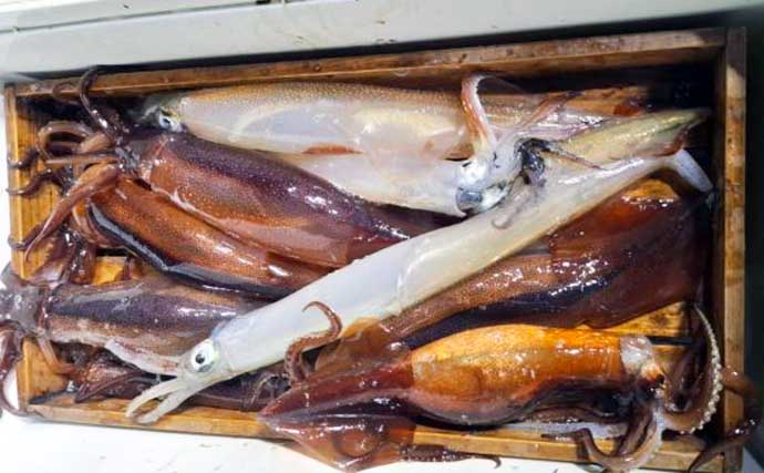 【沖のルアー釣果速報】タイラバで70cm超メダイ手中！良型マダイ＆アマダイ15匹と好釣果（三重）