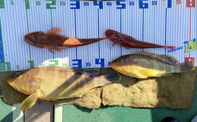 【沖のルアー釣果速報】タイラバで70cm超メダイ手中！良型マダイ＆アマダイ15匹と好釣果（三重）