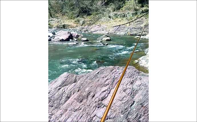 「4月以降はヤマメの穴場釣り場に！」渓流釣りイチオシ河川：神流川