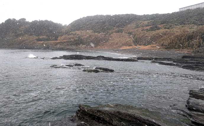 雪中のフカセ釣りで47cm頭にクロダイ4尾手中【千葉・南ケイセン】サラシをかわす沖目攻略で連発