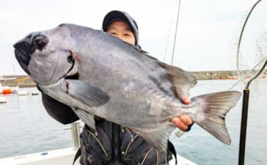 【沖釣り釣果速報】石鯛五目で3kg級イシダイ登場！　大分沖で多彩魚種ヒ…