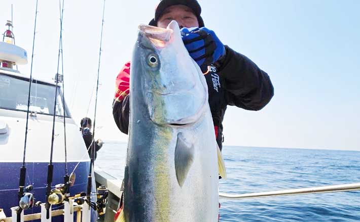 沖のルアー釣果速報】特大ヒラマサ11.8kg浮上！響灘ジギングで青物乱舞