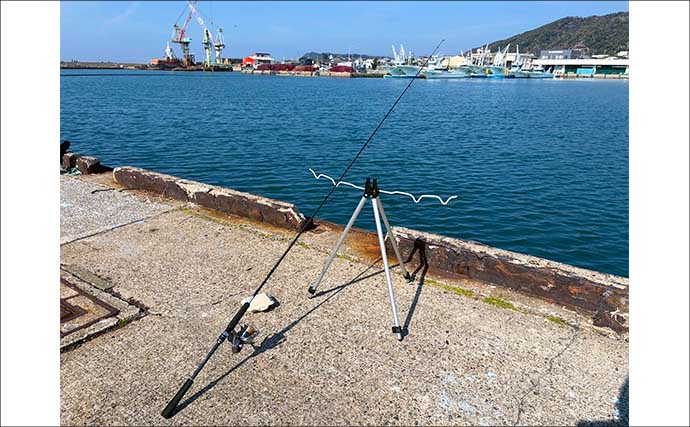 堤防ちょい投げキス釣りで想定外の49cmヒラメ登場にビックリ！【千葉】