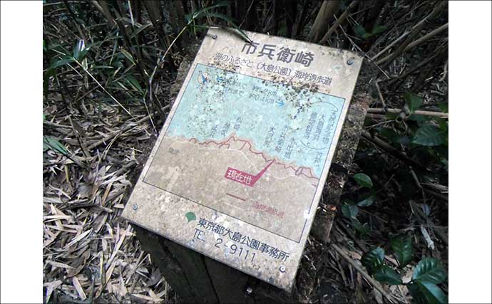 船中泊付きの離島釣り大会に参加【伊豆大島】まさかの優勝＆特別賞を同時受賞！
